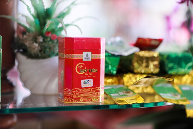 Sơn La: Hợp tác xã sản xuất kinh doanh chè Tân Lập Mộc Châu từng bước tạo dựng thương hiệu vươn ra thế giới - Ảnh 2